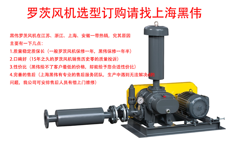 羅茨麻豆视频免费观看入口訂購