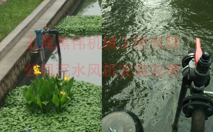 沉水麻豆视频免费观看入口效果